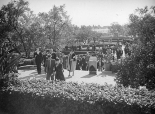 Walking in from the show stables at Santa Anita Racetrack