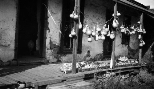 Gourds hang at back "corredor" of Avila Adobe, view 3