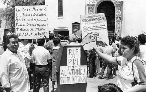 Mexican expatriates protest elections