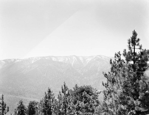 San Gorgonio in the distance