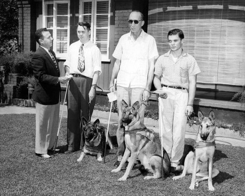 Guiding eye dogs presented to blind