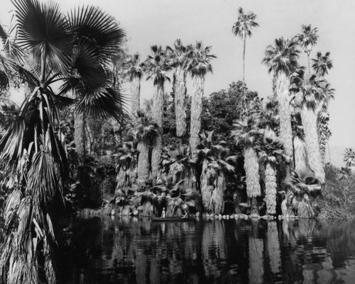 Lake at Arboretum