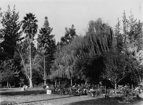 At Baldwin's Ranch, So. Cal