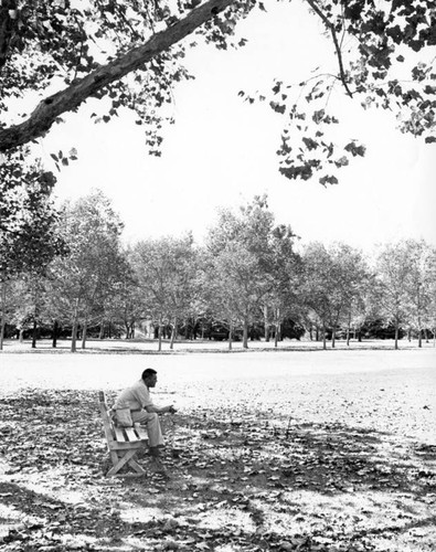 North Hollywood Park