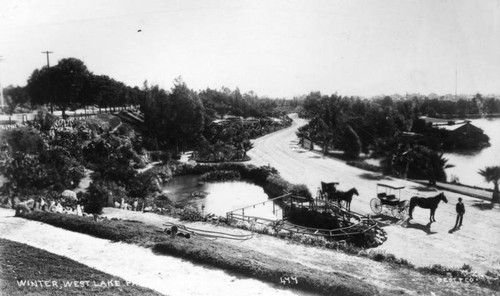 MacArthur Park carriages