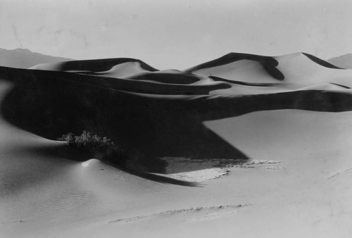 Death Valley sand dunes