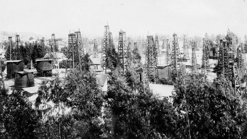 Oil derricks in Los Angeles