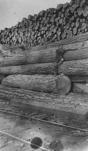 Logger in Lassen County