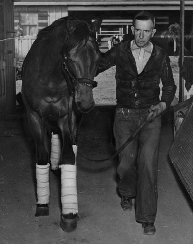 Seabiscuit enters Santa Anita