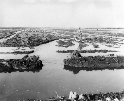 Irrigating a field