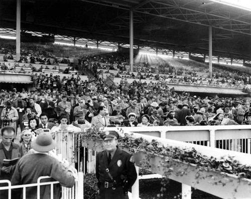 Crowds at Santa Anita Racetrack, view 2