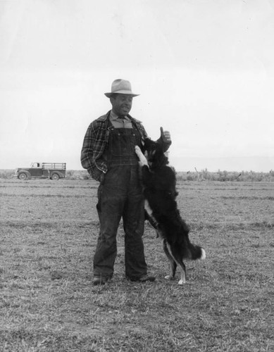 Basque shepherd and dog