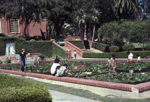 Felipe de Neve Branch Library pond