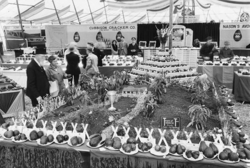 Avocado show, Whittier 1933, view 3