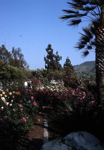 Rose Hills Memorial Park, Whittier