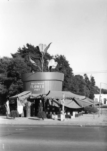 Hollywood Flower Pot