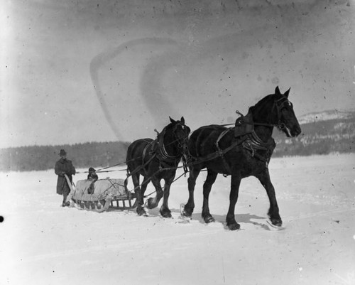 Horse-drawn tobaggan