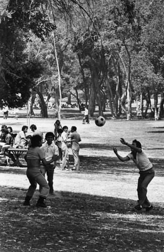 Crowds at Elysian Park