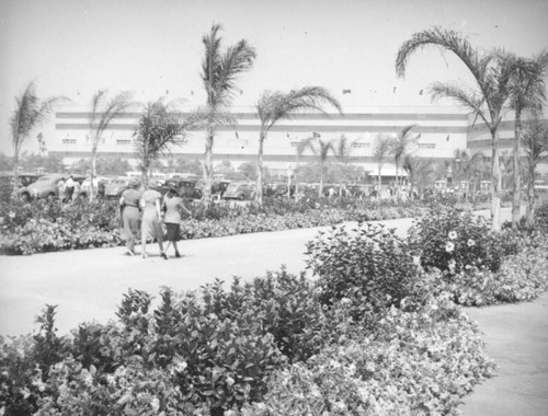 Women walk to Hollywood Park