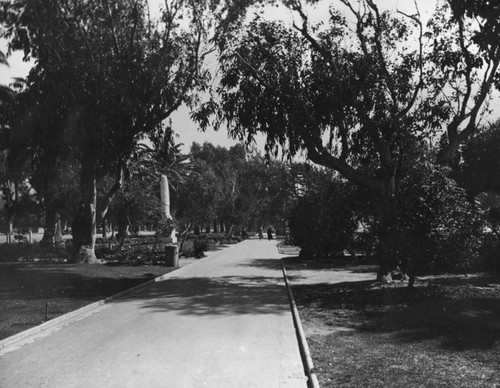 Scenic view of Palisades Park