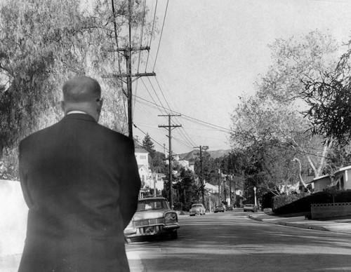 View looking up Holly Drive