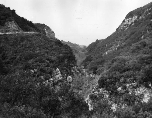 Chaparral growth protecting watershed