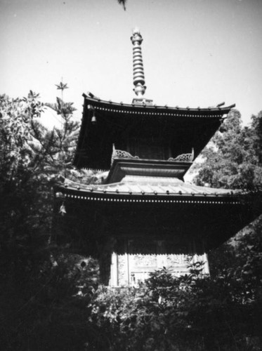 Japanese garden, Hollywood