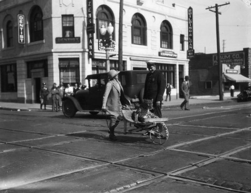 Woman with leopard on Broadway