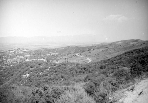 Topanga Canyon triptych, right