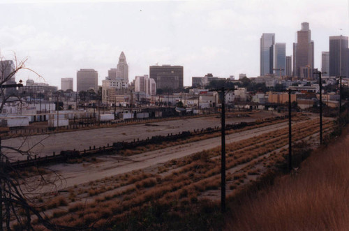 Abandoned Cornfield, view 2