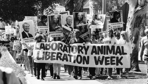 Animal rights demonstration at UCLA