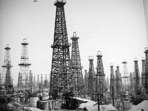 Plane flying over the Signal Hill oil field