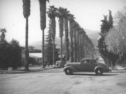 Driving on a residential street, Glendale