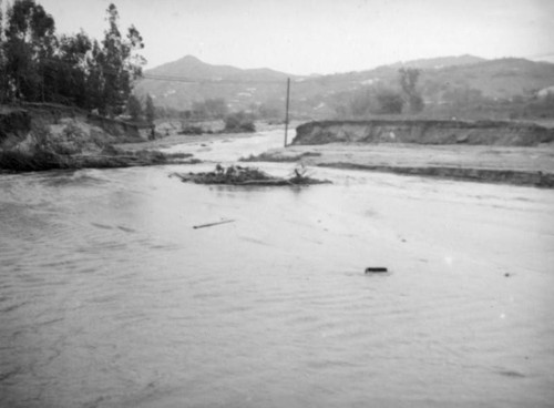 L.A. River flooding, debris in the river in Studio City