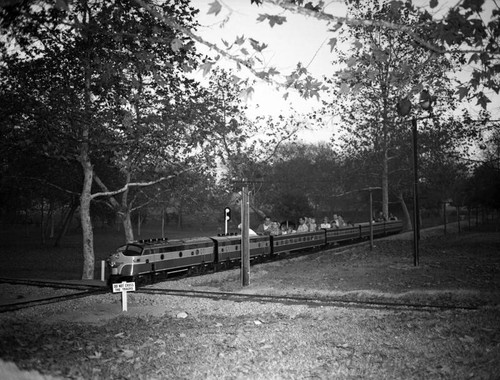 Visitors ride train at Griffith Park