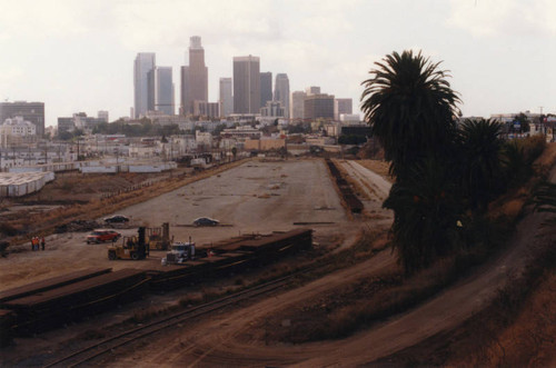 Abandoned Cornfield, view 3