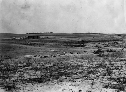 Site of Standard Oil Refinery, El Segundo