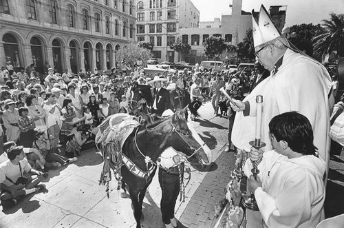 Priests bless animals