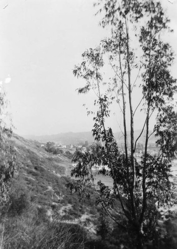 Eagle Rock panorama