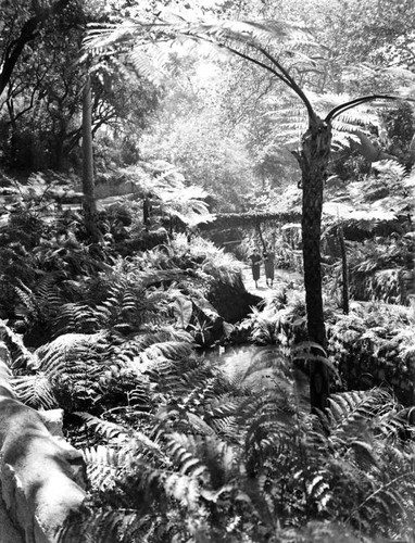 Women walking in Fern Dell