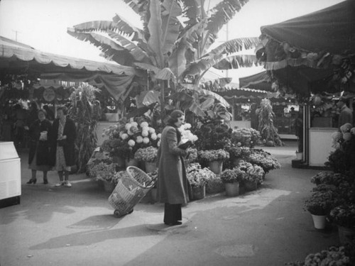 Buying flowers at the Farmers Market Fall Festival