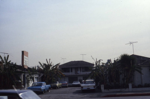 Businesses, West Los Angeles