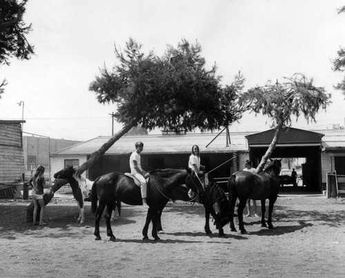 Horseback riding in Burbank