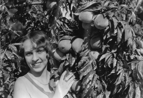 Woman and pear tree