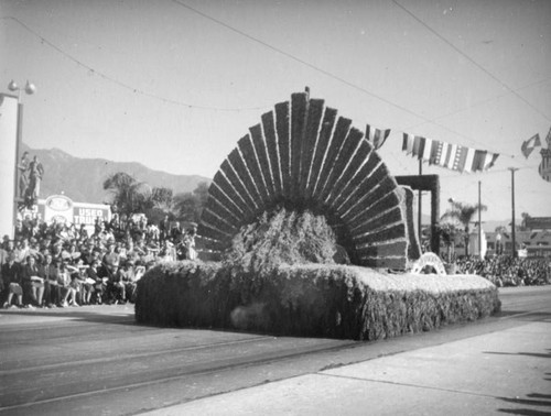 52nd Annual Tournament of Roses, 1941