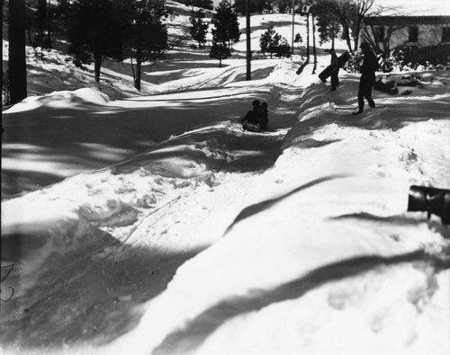 Tobogganing at Big Pines