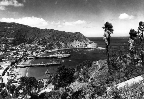 Panoramic view of Avalon Bay