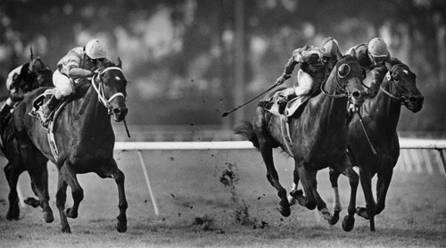 Charles Whittingham Memorial Handicap at Hollywood Park