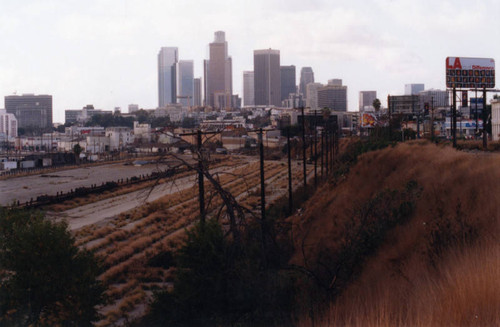 "Cornfields" near Downtown L.A