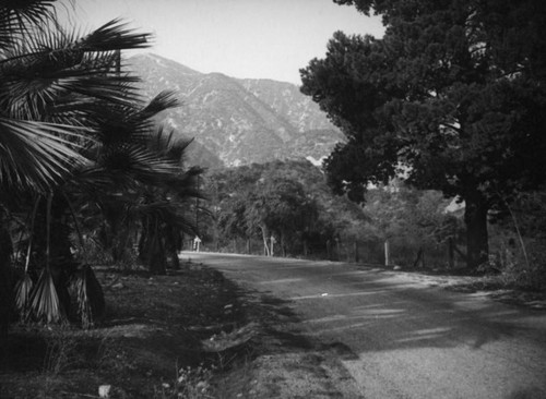 Santa Anita Avenue through Arcadia